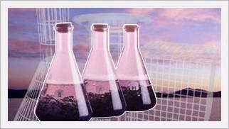 Liquid Organic Complex Stabilizers